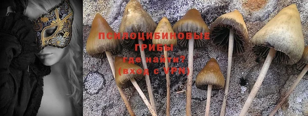 гашиш Арсеньев